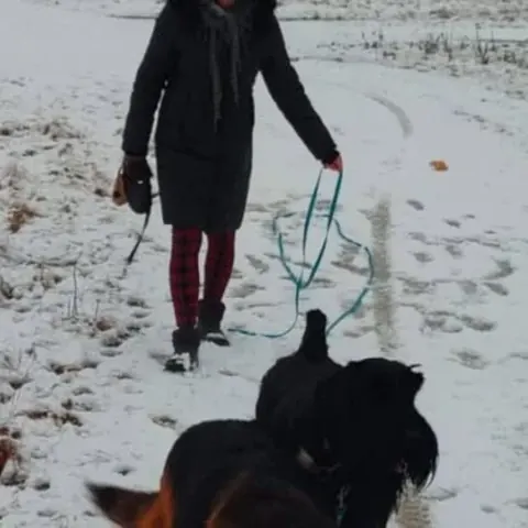 Sznaucer olbrzym z hodowli Magiczne Geny FCI ze swoją rodziną