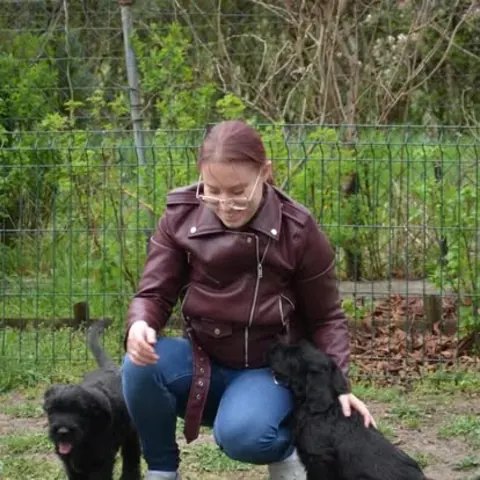 Sznaucer olbrzym z hodowli Magiczne Geny FCI ze swoją rodziną